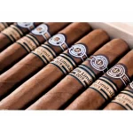 Montecristo Supremos Edition Limitida 2019 - Görsel 2