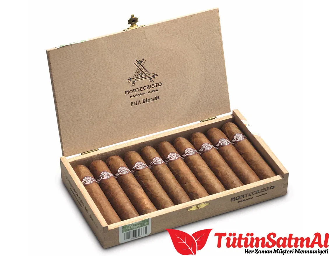 no380.webp Montecristo Petit Edmundo 10's Puro - Görsel 1